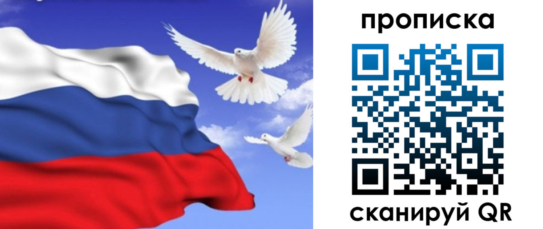 временная регистрация гарантия в Покрове